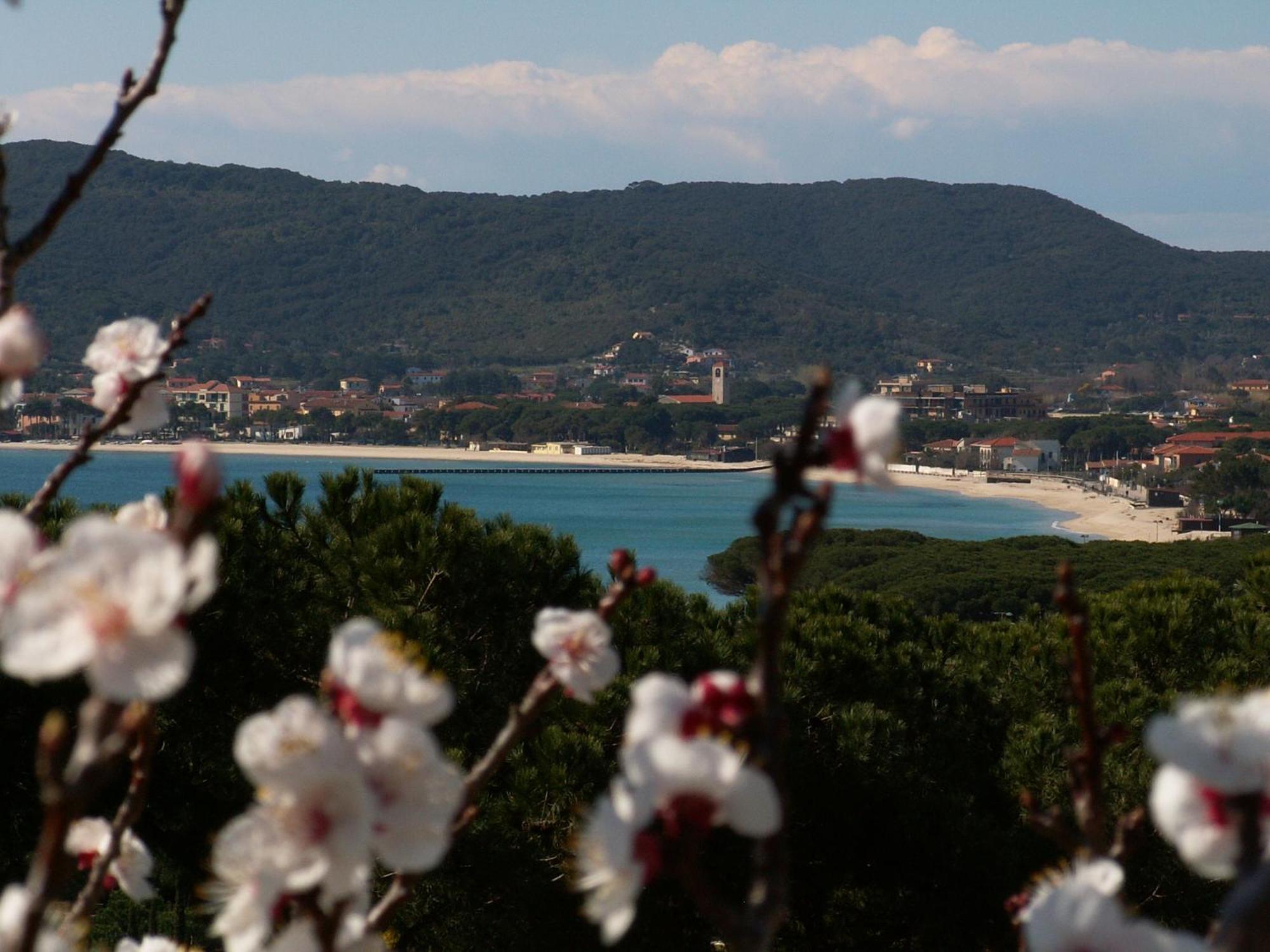 Hotel Santa Caterina Marina di Campo Εξωτερικό φωτογραφία