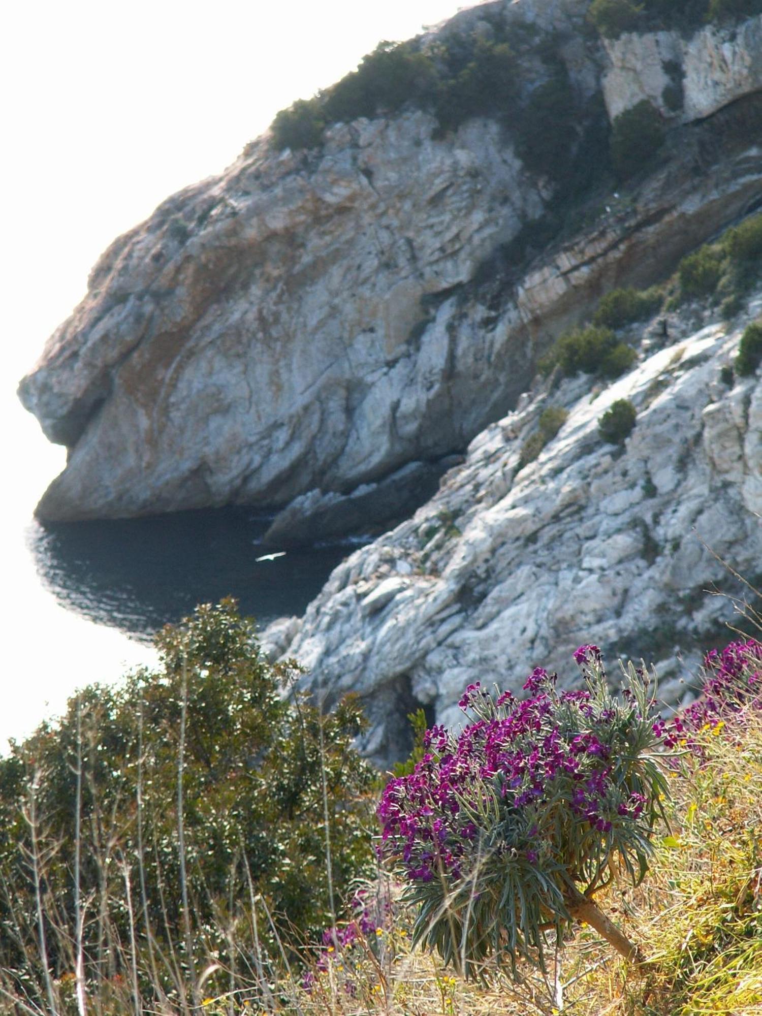 Hotel Santa Caterina Marina di Campo Εξωτερικό φωτογραφία